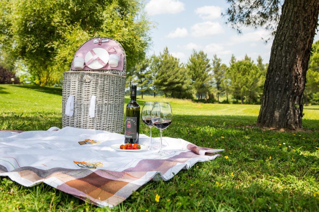 Agriturismo Colleverde Selvatelle エクステリア 写真