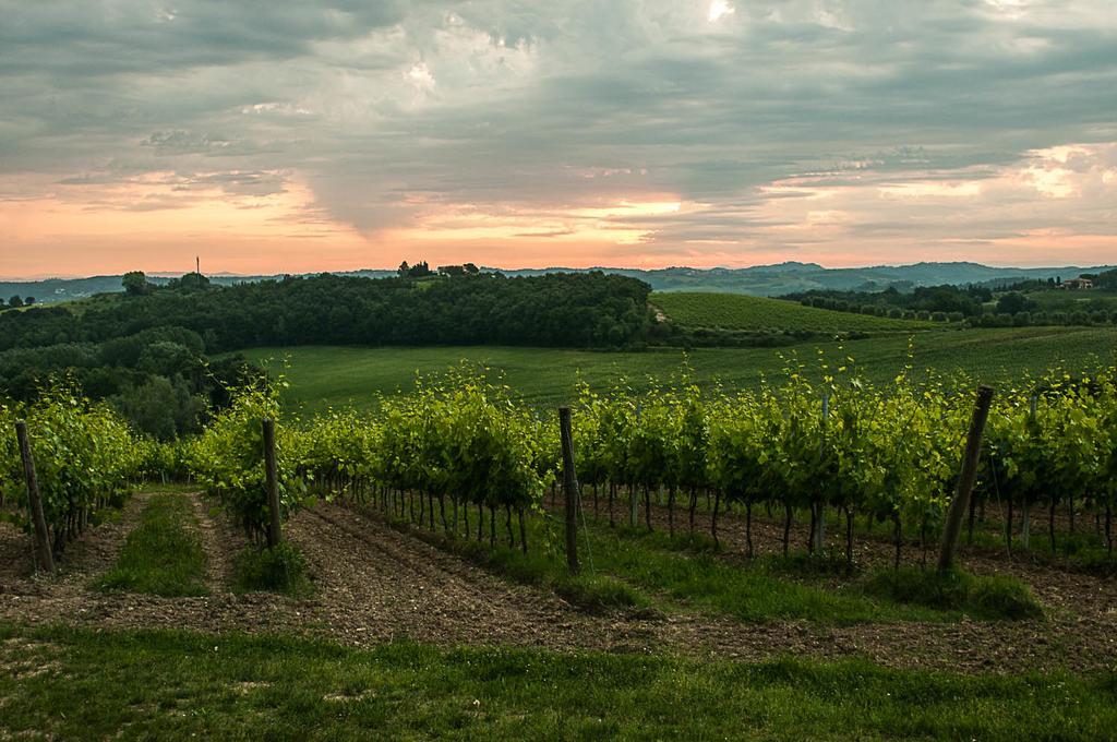 Agriturismo Colleverde Selvatelle エクステリア 写真
