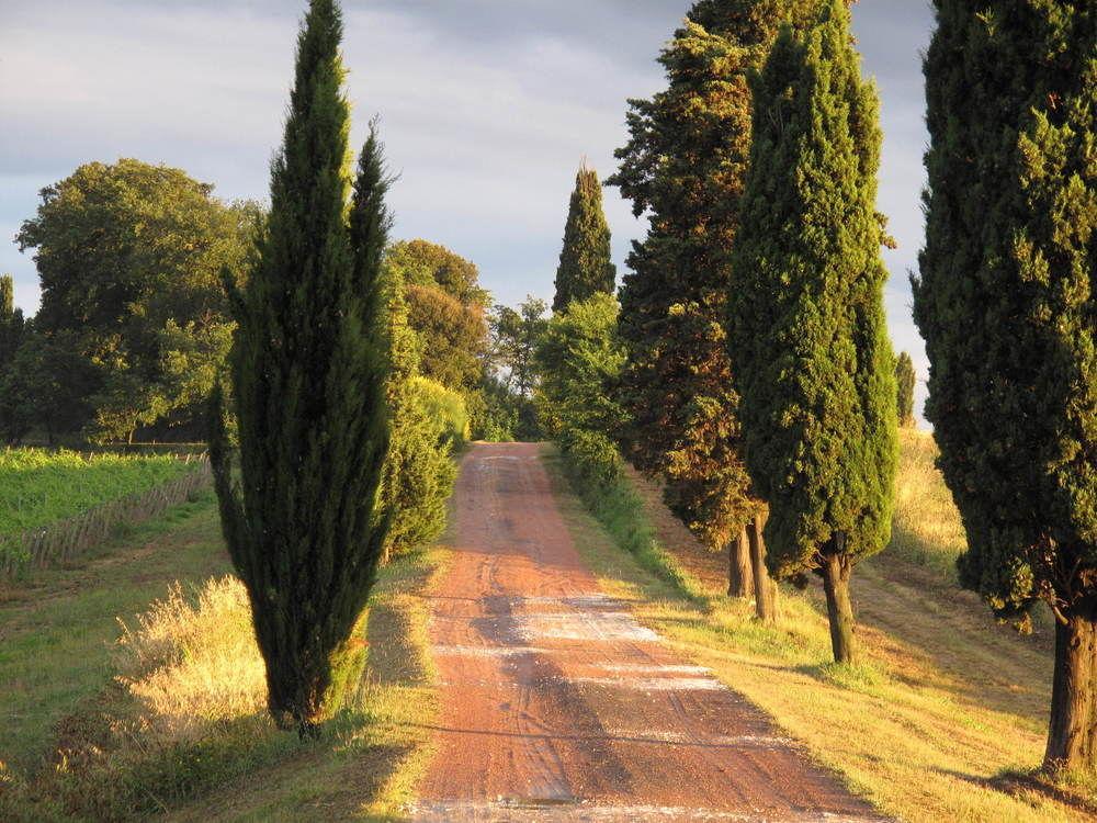Agriturismo Colleverde Selvatelle エクステリア 写真