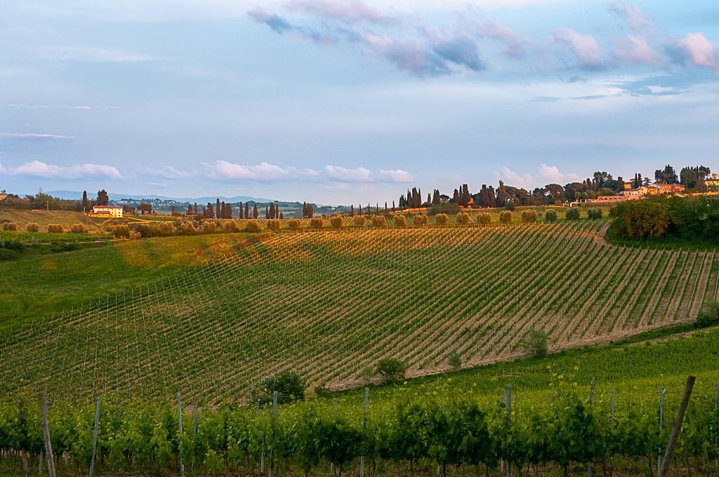 Agriturismo Colleverde Selvatelle エクステリア 写真