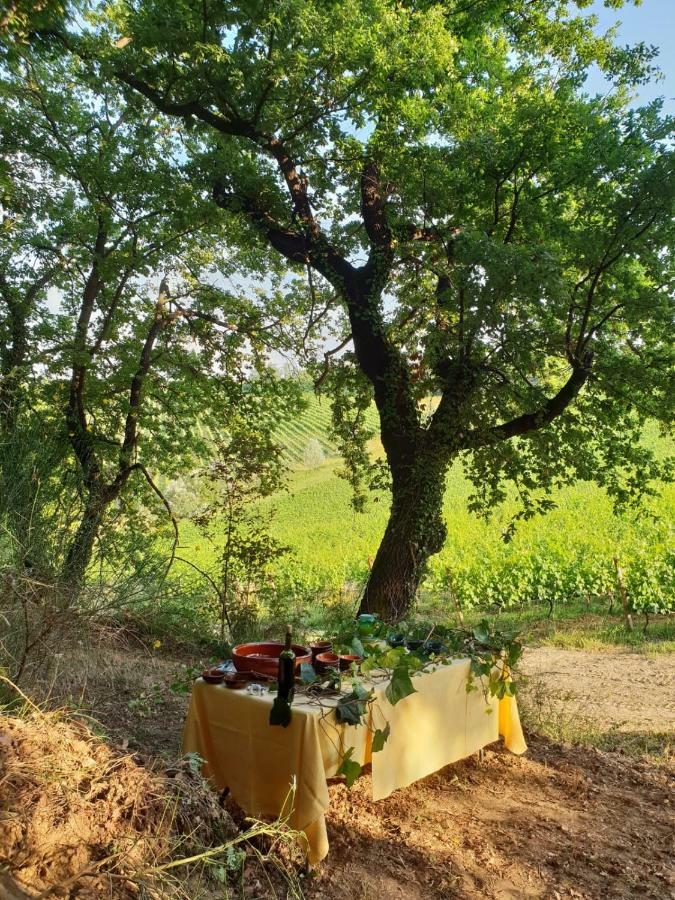 Agriturismo Colleverde Selvatelle エクステリア 写真